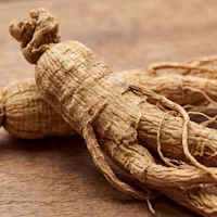 Koreanischer Ginseng-Extrakt
