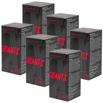 6 Stück Paket